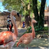 ピーちゃんとお散歩