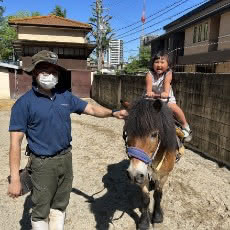 ポニーの乗馬体験