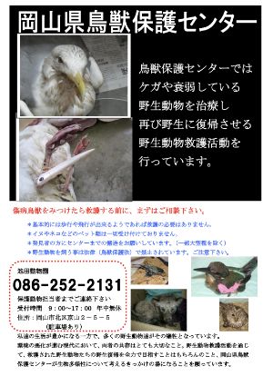 岡山県鳥獣保護センターについて