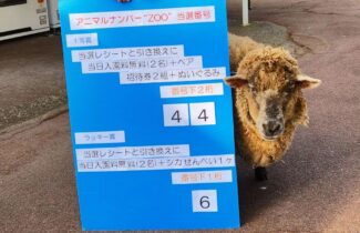 新春お年玉　アニマルナンバー”ZOO”結果発表中！！（引換期限は3/31迄！）