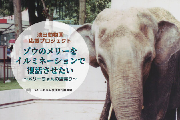【ご協力ありがとうございました】池田動物園応援CFのお知らせ～ナイトズーイルミネーションを実現させよう！～