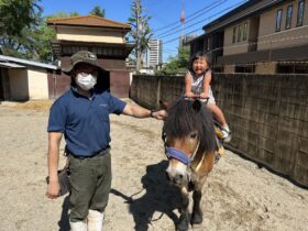ポニーの乗馬体験(8月2日、9日、13日~16日、23日、30日は都合によりお休みさせていただきます)
