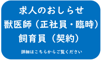 求人のおしらせ