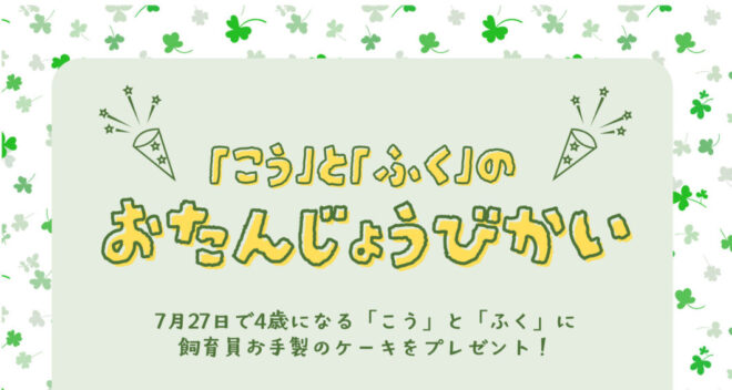 カピバラ「こう」＆「ふく」のお誕生日会