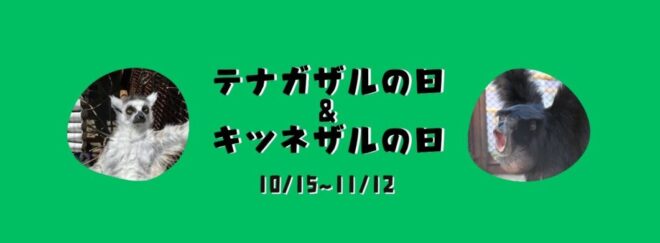 テナガザルの日＆キツネザルの日特別イベント