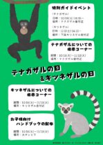 テナガザルの日＆キツネザルの日特別イベント