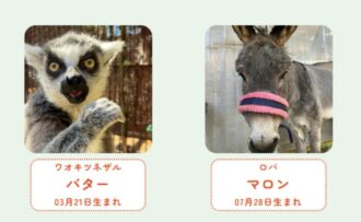 動物たちの食事を支援するサービス「Hello!OHANA」に参加します！～11月のどうぶつはこちら～