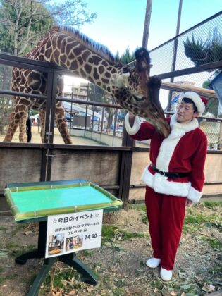 池田動物園のクリスマス②