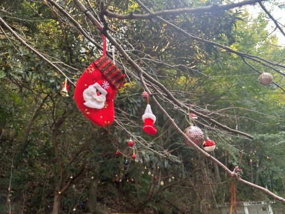 池田動物園のクリスマス①