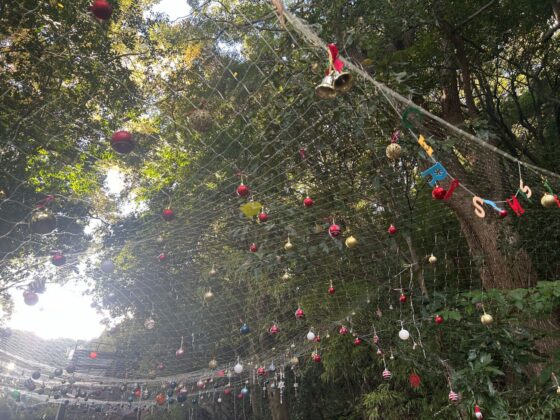 池田動物園のクリスマス①