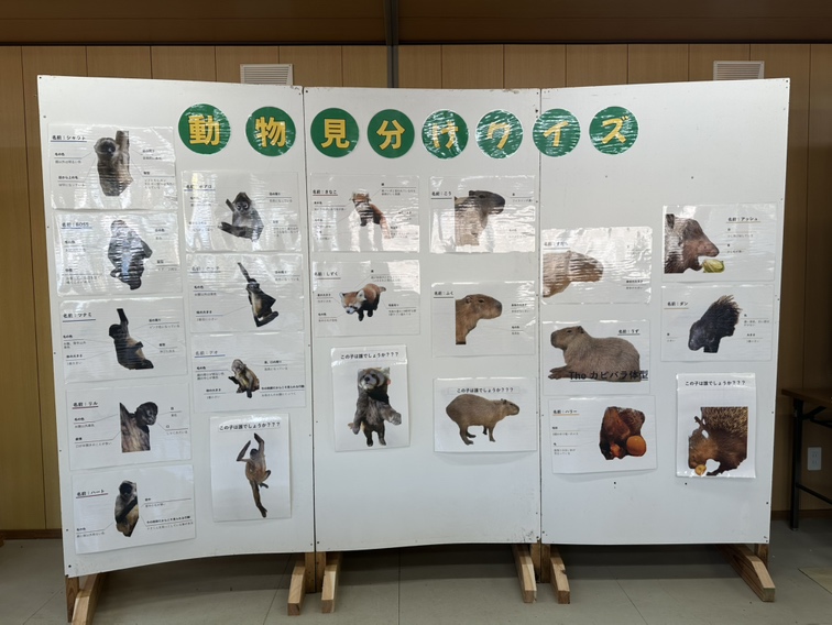 「飼育の日」のイベントを開催しました!