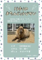 カピバラ「うず」のお誕生日会