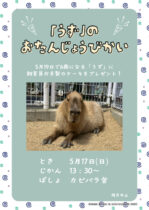 カピバラ「うず」のお誕生日会