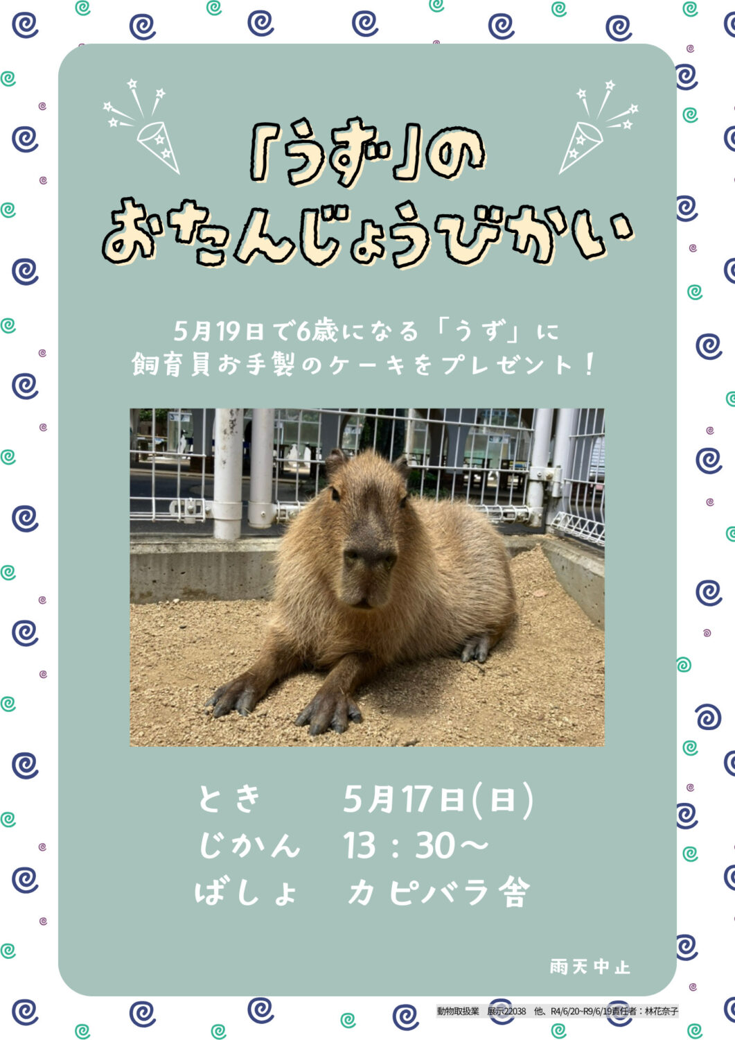 カピバラ「うず」のお誕生日会