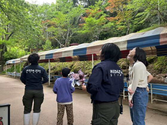 園内を歩く参加者たち。飛んでいる鳥はいないかな…?