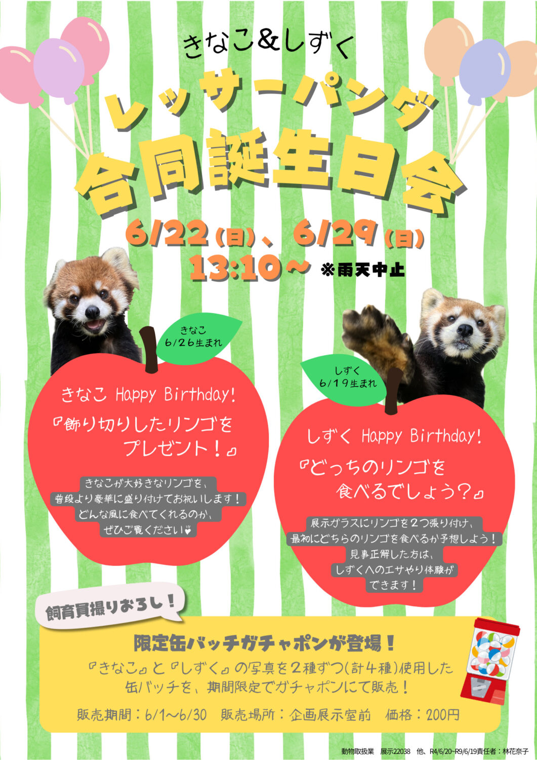 レッサーパンダ合同誕生日会