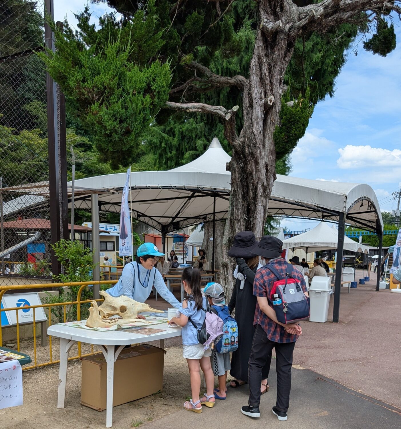 『世界キリンの日』イベントを開催しました！