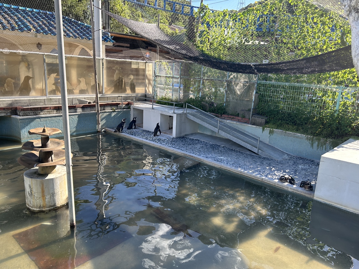 動物たちの暑さ対策