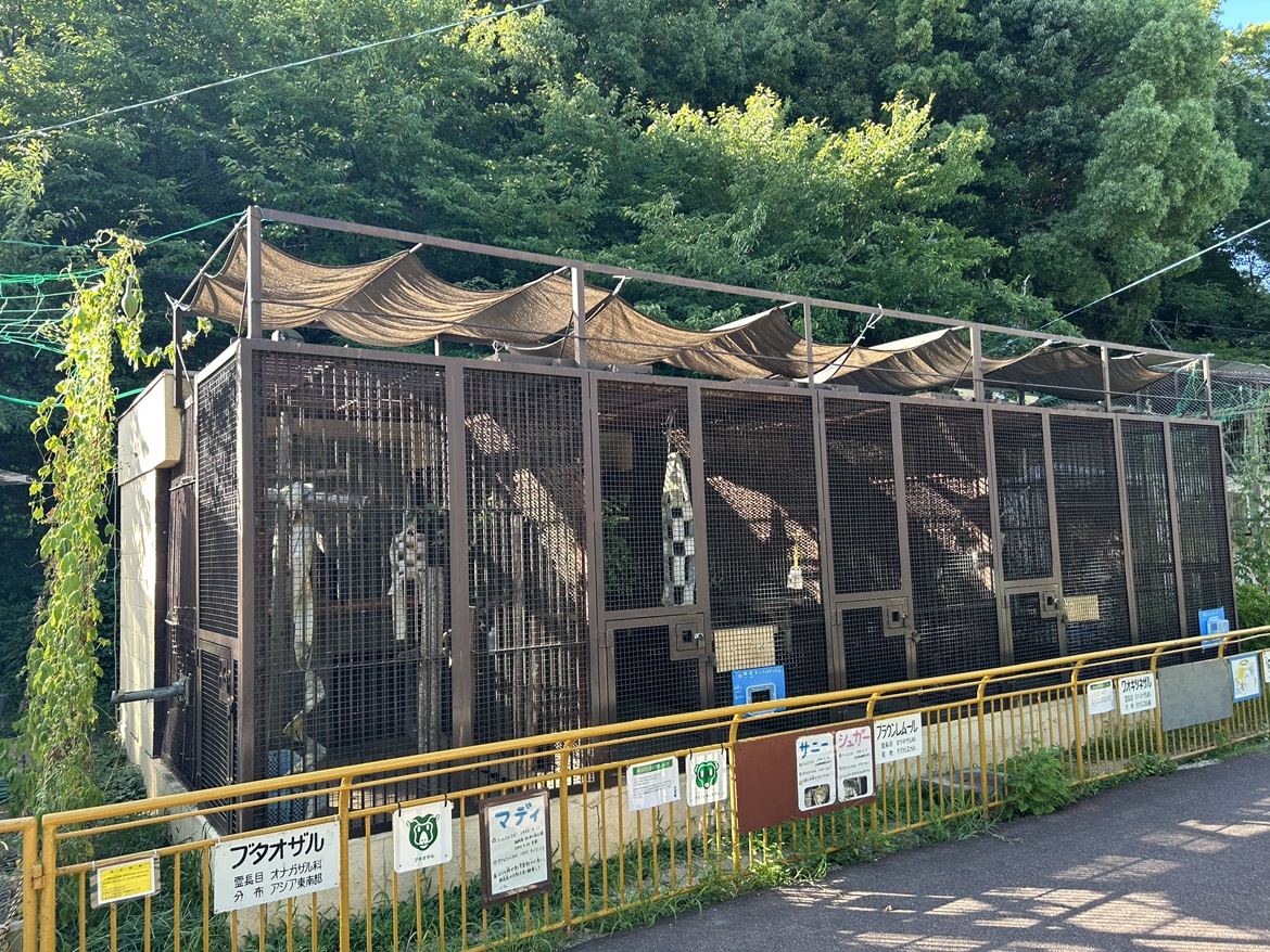 動物たちの暑さ対策