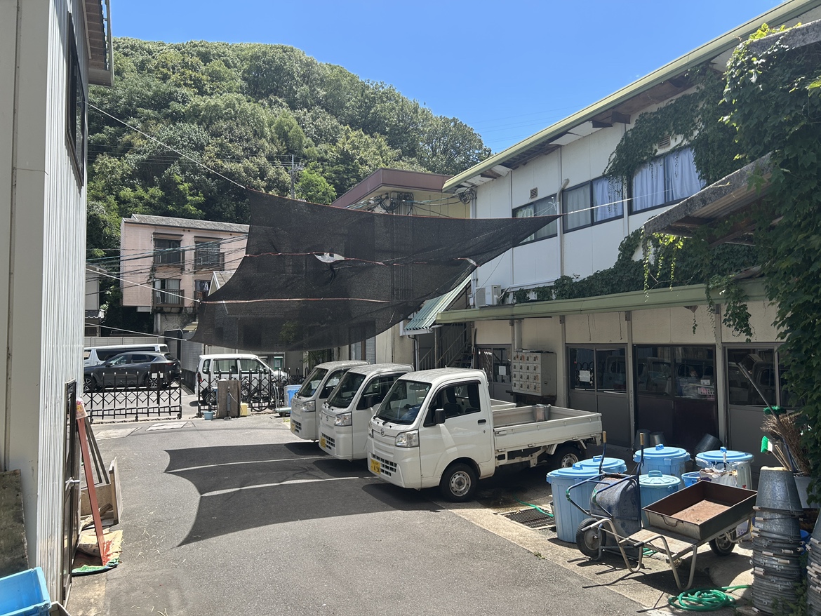 動物たちの暑さ対策