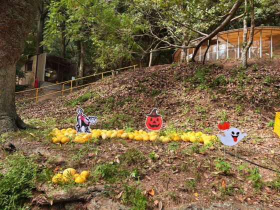 池田動物園 ハロウィンイベント2025