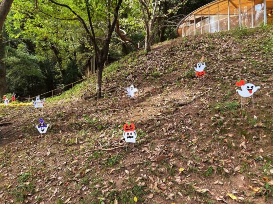 池田動物園 ハロウィンイベント2025