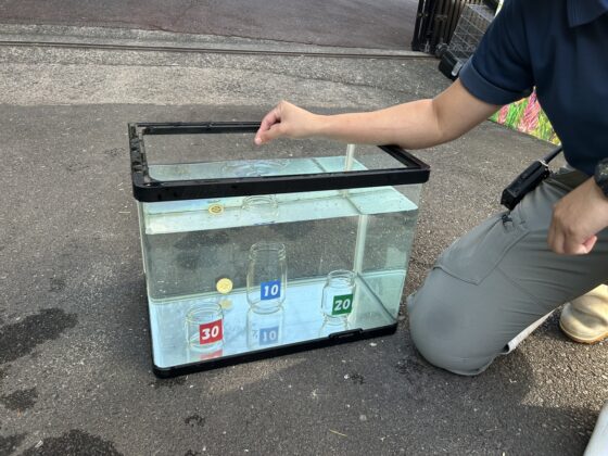 ③水中コイン落とし