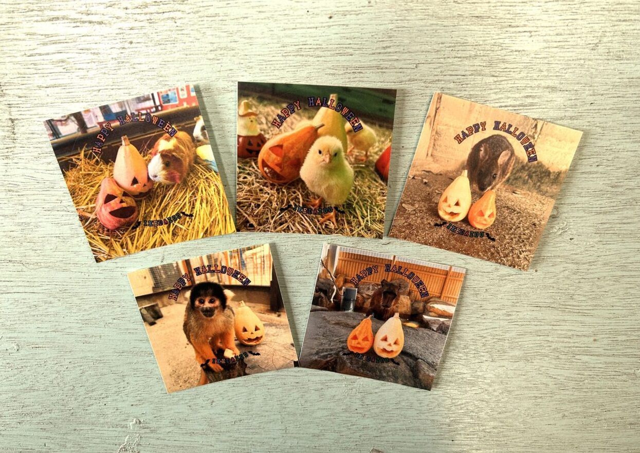 池田動物園 ハロウィンイベント2025
