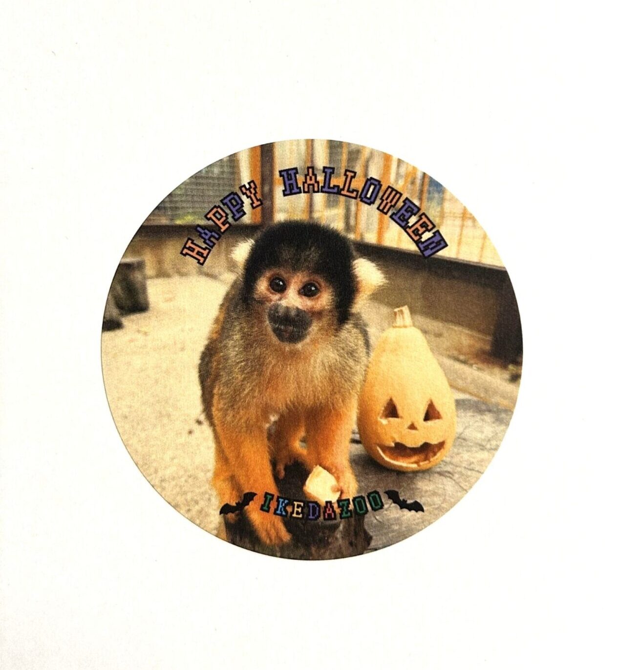 池田動物園 ハロウィンイベント2025