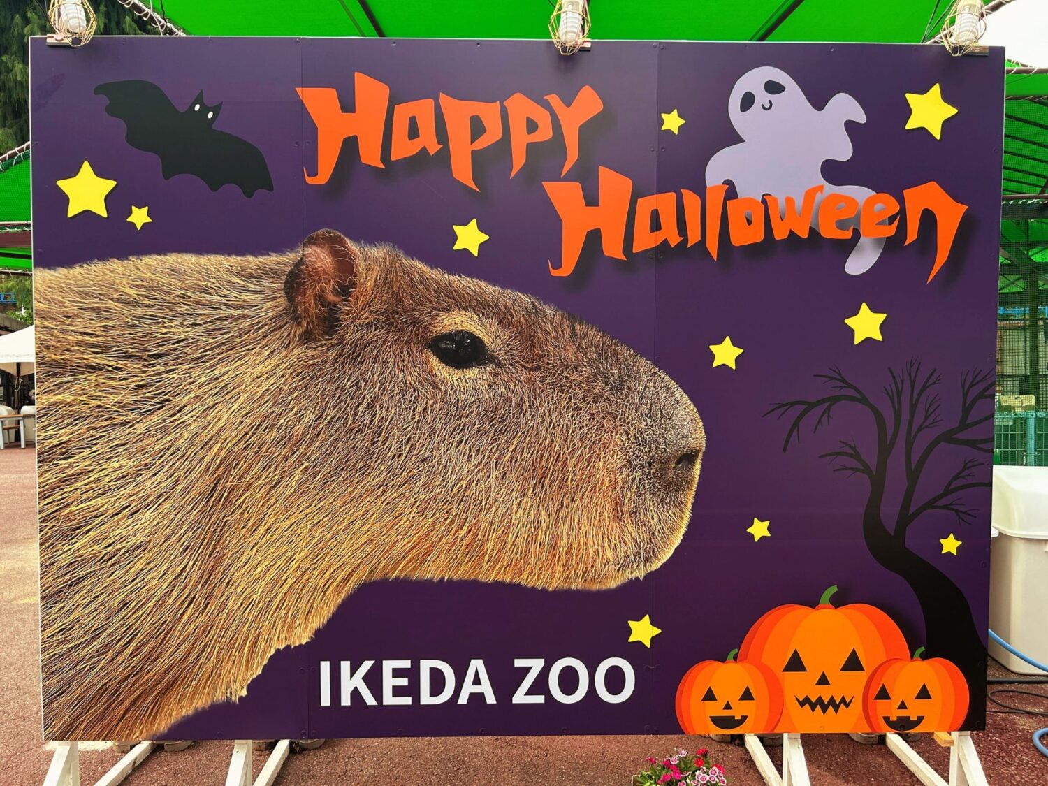池田動物園 ハロウィンイベント2025