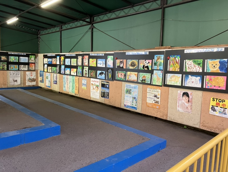 2025年『好きな動物の絵』受賞作品を展示しています
