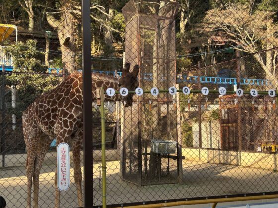 2025年の様子（キリンのサンタロウで実施しました）