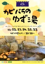 【冬至イベント】カピバラのゆず湯