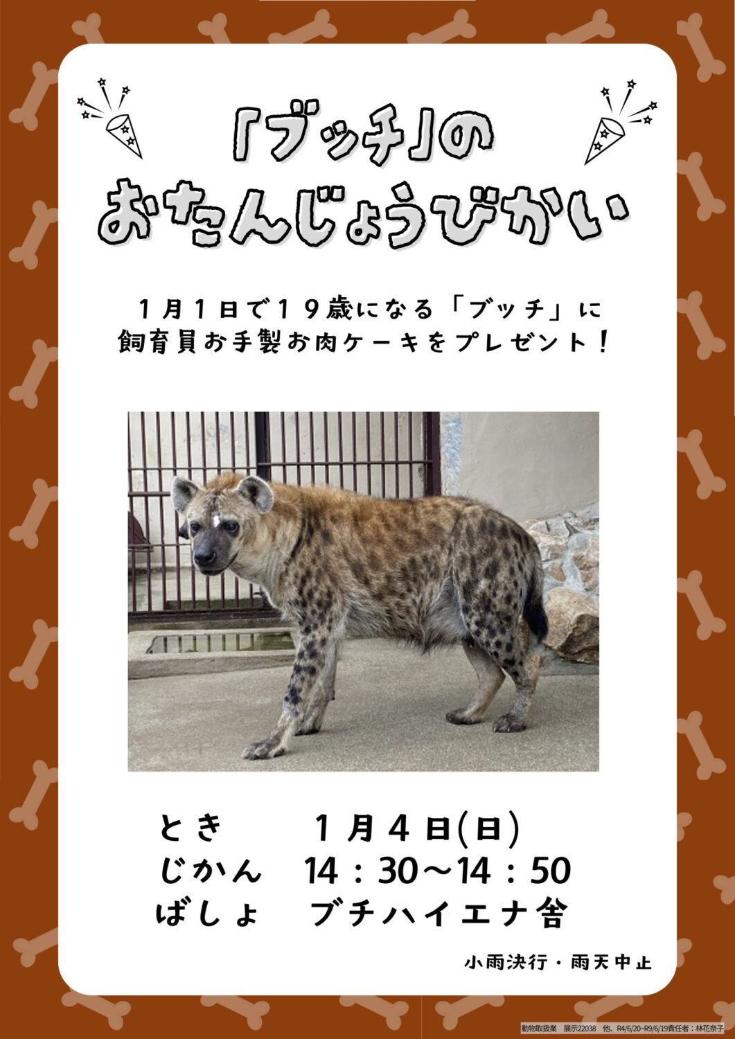 ブチハイエナ「ブッチ」のお誕生日会