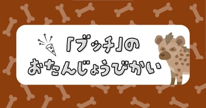 ブチハイエナ「ブッチ」のお誕生日会