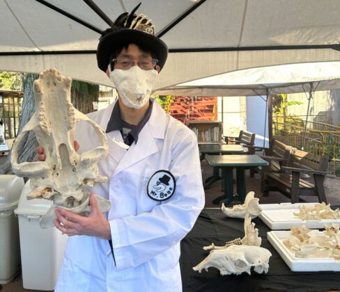 過去のイベントの様子