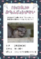 コツメカワウソ「チョコ丸」のお誕生日会