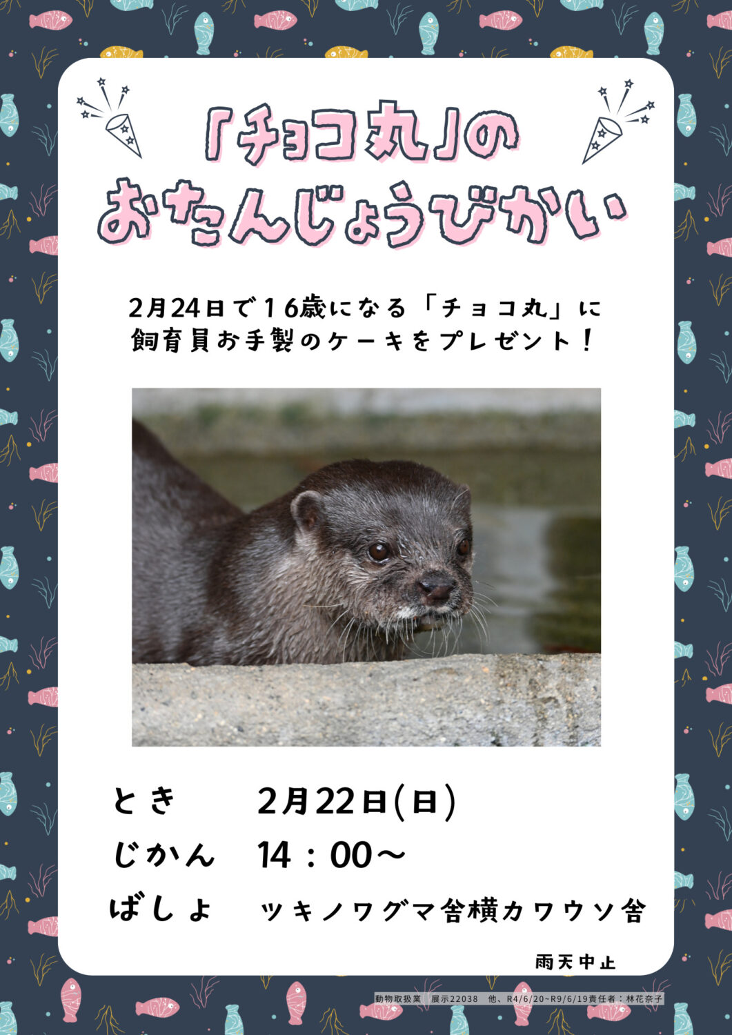 コツメカワウソ「チョコ丸」のお誕生日会