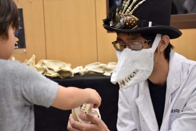 過去のイベントの様子