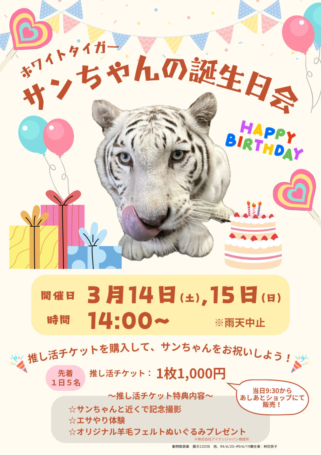 ホワイトタイガー「サン」ちゃんの誕生日会
