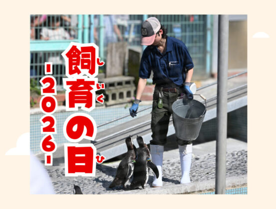 「飼育の日2026」特別イベント