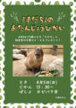 カピバラ「すだち」のお誕生日会