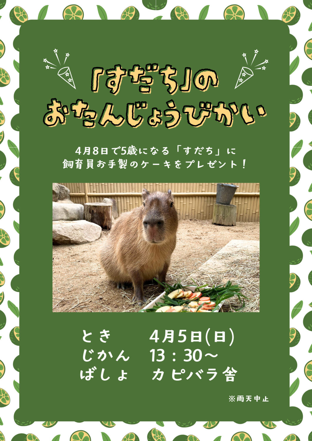 カピバラ「すだち」のお誕生日会