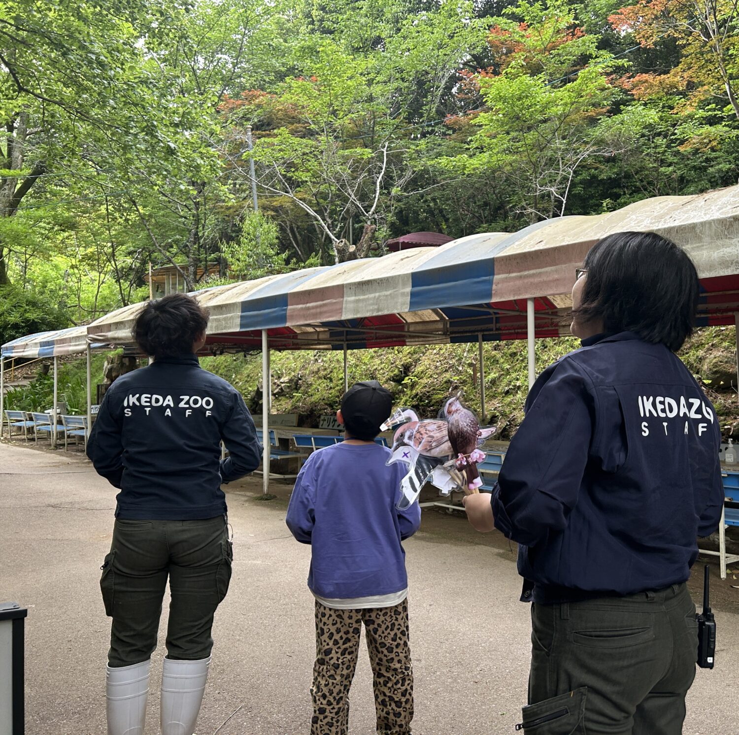 【愛鳥週間特別イベント】動物園で野鳥を観察しよう
