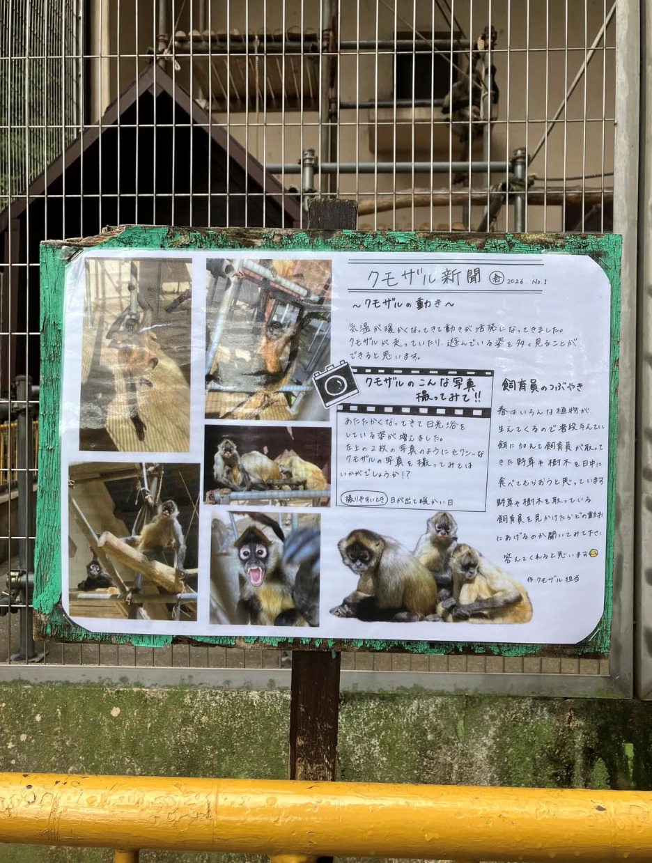 クモザル新聞始めました！