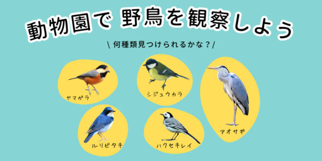 【愛鳥週間特別イベント】動物園で野鳥を観察しよう