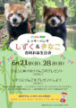 レッサーパンダ合同誕生日会