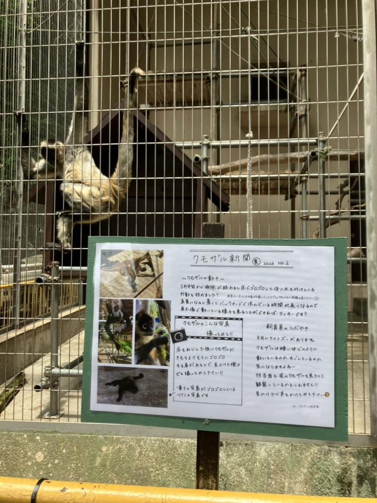 『クモザル新聞』夏号を掲示しました！