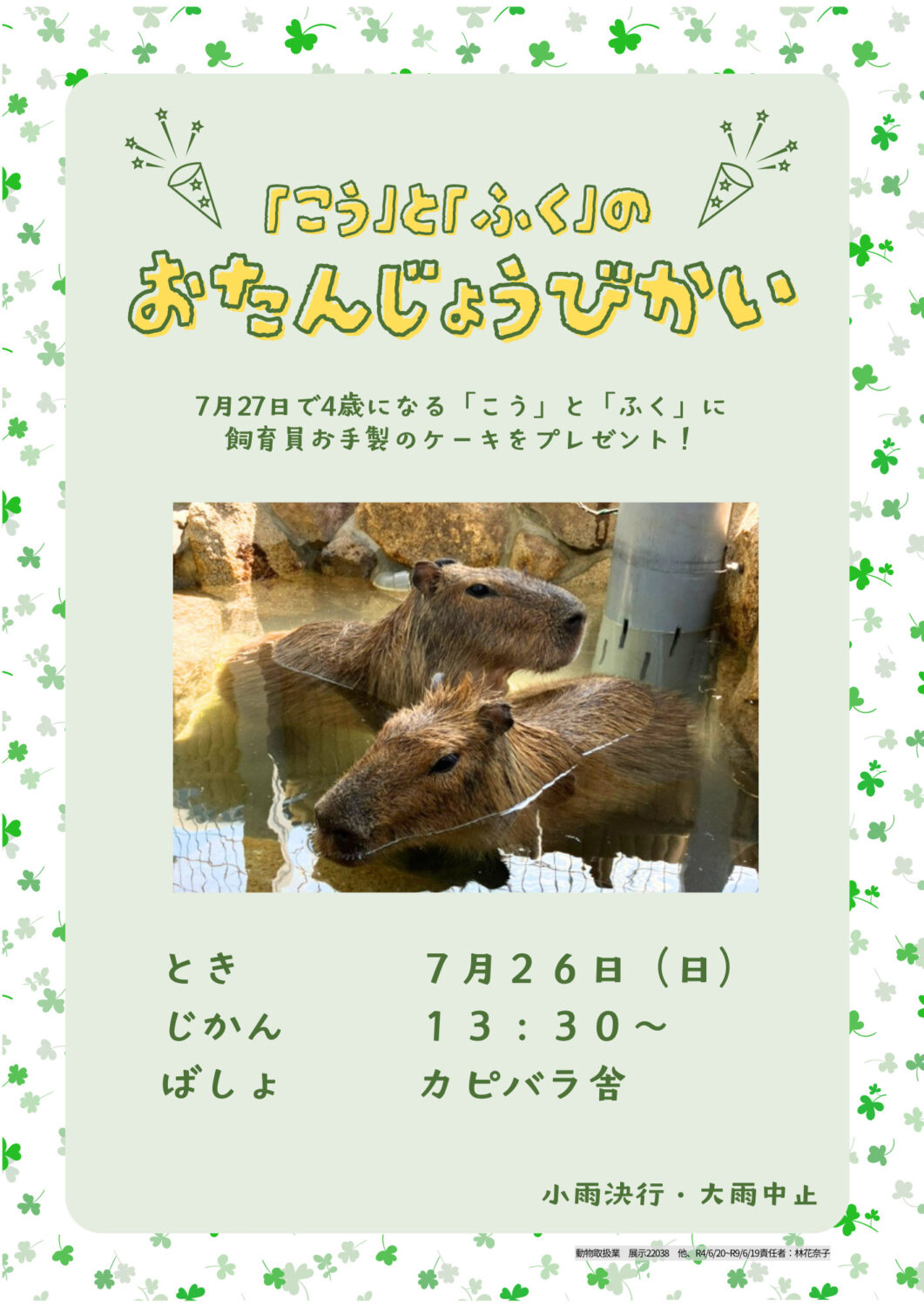 カピバラ「こう」＆「ふく」のお誕生日会