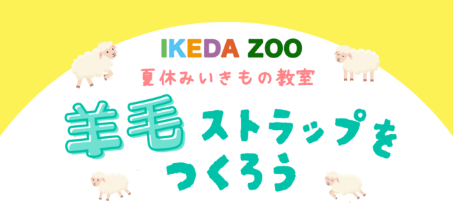 【夏休みいきもの教室】ヒツジの毛で羊毛ストラップを作ろう！